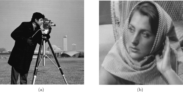 Figure 2 for Blind Ptychography by Douglas-Rachford Splitting