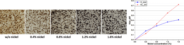 Figure 1 for Adversarial Stain Transfer to Study the Effect of Color Variation on Cell Instance Segmentation