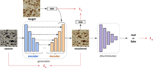 Figure 3 for Adversarial Stain Transfer to Study the Effect of Color Variation on Cell Instance Segmentation