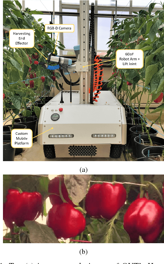 Figure 1 for In-Field Peduncle Detection of Sweet Peppers for Robotic Harvesting: a comparative study