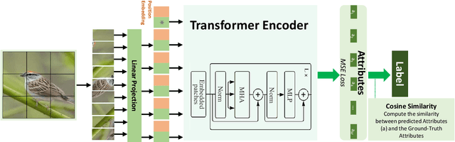 Figure 3 for Multi-Head Self-Attention via Vision Transformer for Zero-Shot Learning