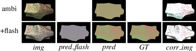 Figure 1 for Flash Lightens Gray Pixels