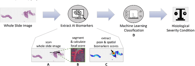 Figure 1 for Harnessing Artificial Intelligence to Infer Novel Spatial Biomarkers for the Diagnosis of Eosinophilic Esophagitis