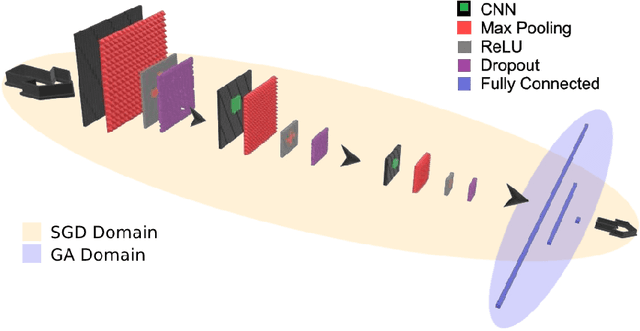 Figure 1 for Evolution-based Fine-tuning of CNNs for Prostate Cancer Detection