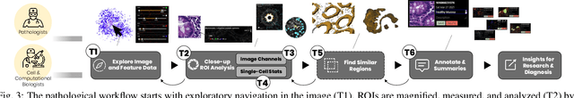 Figure 2 for Scope2Screen: Focus+Context Techniques for Pathology Tumor Assessment in Multivariate Image Data