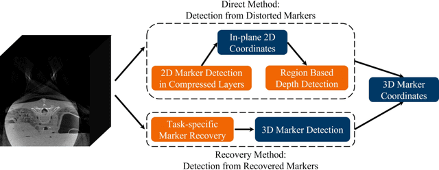 Figure 3 for Fiducial marker recovery and detection from severely truncated data in navigation assisted spine surgery