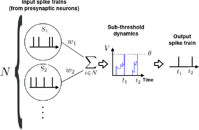 Figure 1 for Deep Spiking Convolutional Neural Network for Single Object Localization Based On Deep Continuous Local Learning