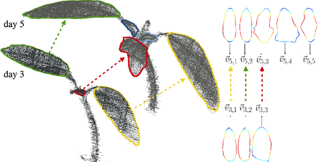 Figure 1 for Statistical shape representations for temporal registration of plant components in 3D