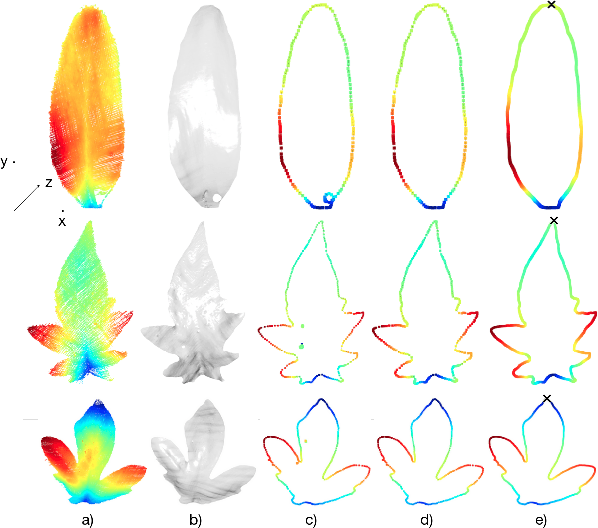 Figure 2 for Statistical shape representations for temporal registration of plant components in 3D