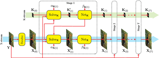 Figure 1 for Unfolded Deep Kernel Estimation for Blind Image Super-resolution