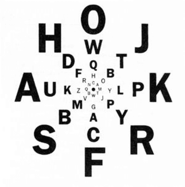 Figure 1 for Mysteries of Visual Experience