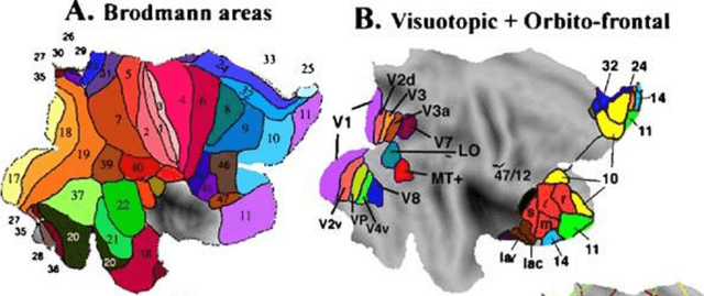Figure 4 for Mysteries of Visual Experience