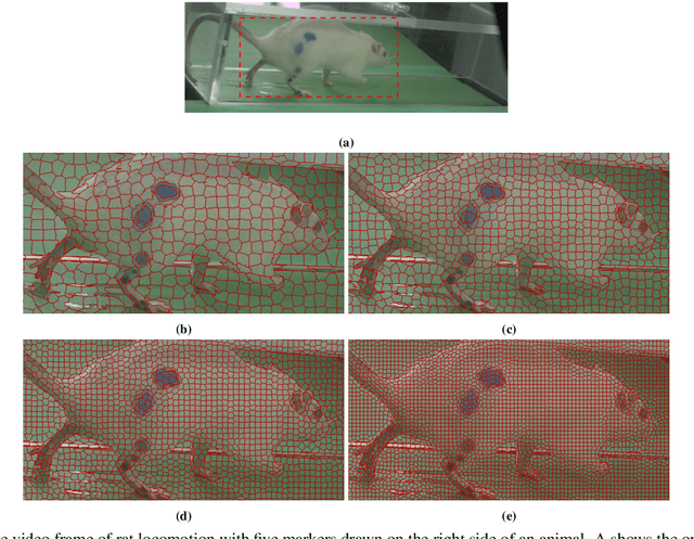 Figure 1 for 3D Based Landmark Tracker Using Superpixels Based Segmentation for Neuroscience and Biomechanics Studies