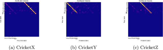 Figure 3 for Timage -- A Robust Time Series Classification Pipeline