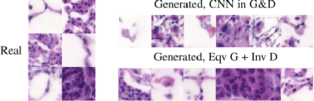 Figure 1 for Structure-preserving GANs