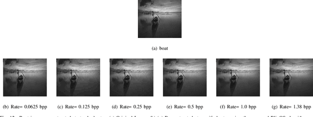 Figure 4 for BlinQS: Blind Quality Scalable Image Compression Algorithm without using PCRD Optimization