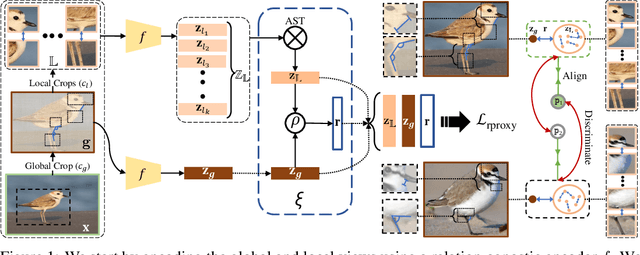 Figure 1 for Relational Proxies: Emergent Relationships as Fine-Grained Discriminators