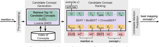 Figure 2 for BERT-based Ranking for Biomedical Entity Normalization