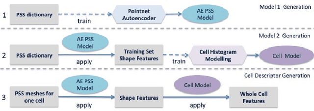 Figure 3 for Automated Neuron Shape Analysis from Electron Microscopy