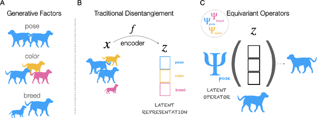 Figure 1 for Addressing the Topological Defects of Disentanglement via Distributed Operators