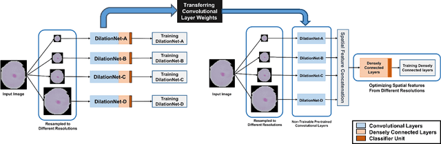 Figure 1 for Automatic Diagnosis of Malaria from Thin Blood Smear Images using Deep Convolutional Neural Network with Multi-Resolution Feature Fusion