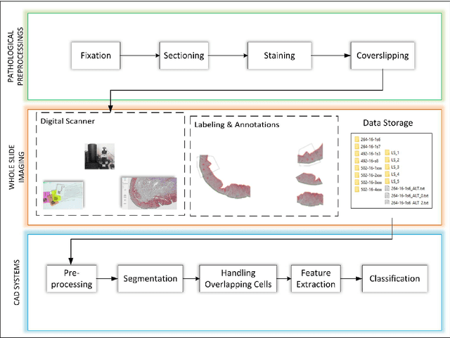 Figure 1 for A Whole Slide Image Grading Benchmark and Tissue Classification for Cervical Cancer Precursor Lesions with Inter-Observer Variability