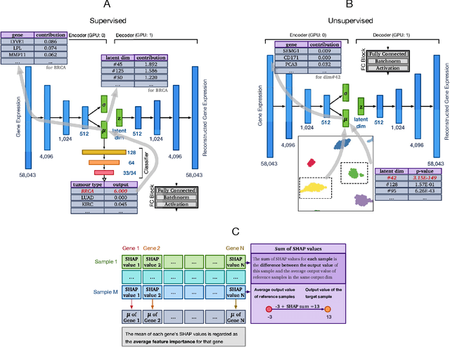 Figure 1 for XOmiVAE: an interpretable deep learning model for cancer classification using high-dimensional omics data