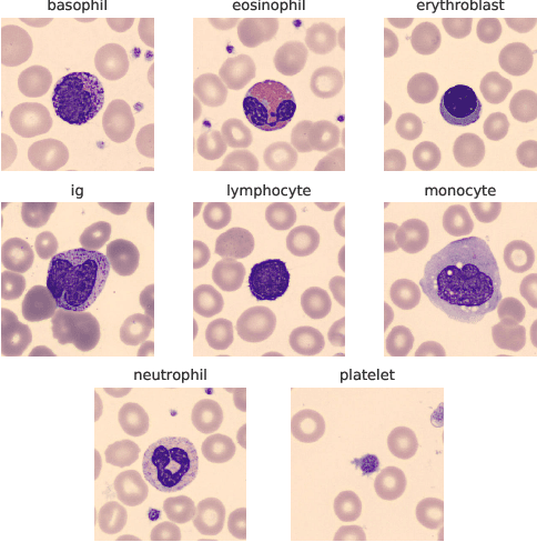 Figure 1 for Deep CNNs for Peripheral Blood Cell Classification