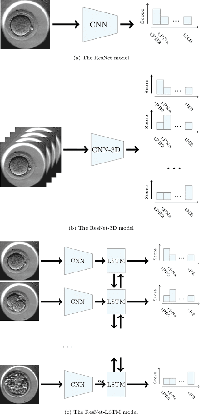Figure 2 for Towards deep learning-powered IVF: A large public benchmark for morphokinetic parameter prediction