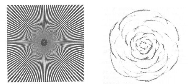 Figure 1 for Reproducing sensory induced hallucinations via neural fields