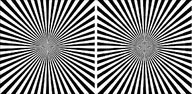 Figure 3 for Reproducing sensory induced hallucinations via neural fields