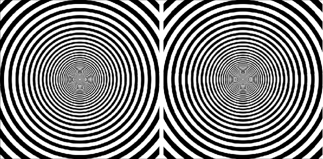 Figure 4 for Reproducing sensory induced hallucinations via neural fields