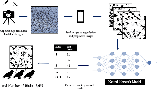 Figure 1 for Towards Building a Real Time Mobile Device Bird Counting System Through Synthetic Data Training and Model Compression