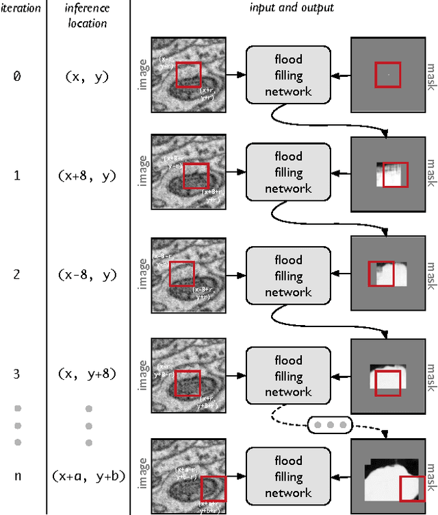 Figure 3 for Flood-Filling Networks