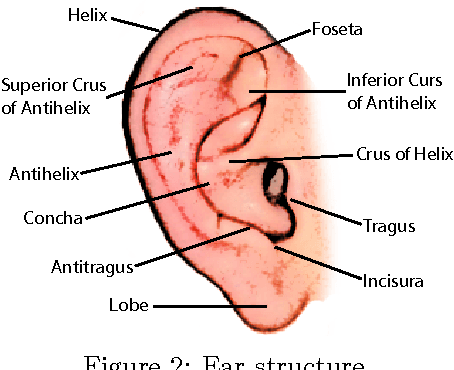 Figure 2 for Ear Recognition: More Than a Survey