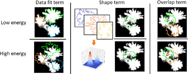 Figure 3 for Instance segmentation of fallen trees in aerial color infrared imagery using active multi-contour evolution with fully convolutional network-based intensity priors