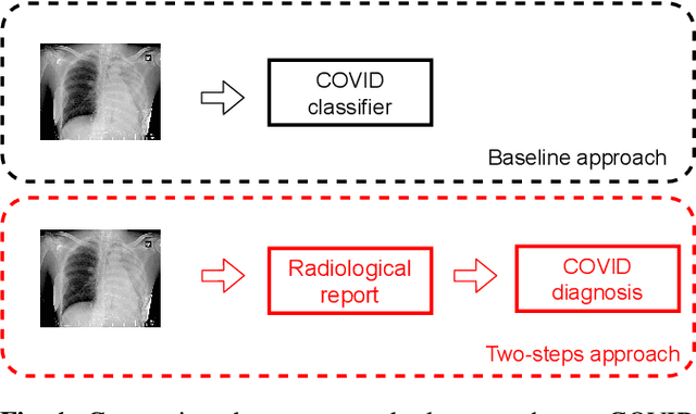Figure 1 for A two-step explainable approach for COVID-19 computer-aided diagnosis from chest x-ray images