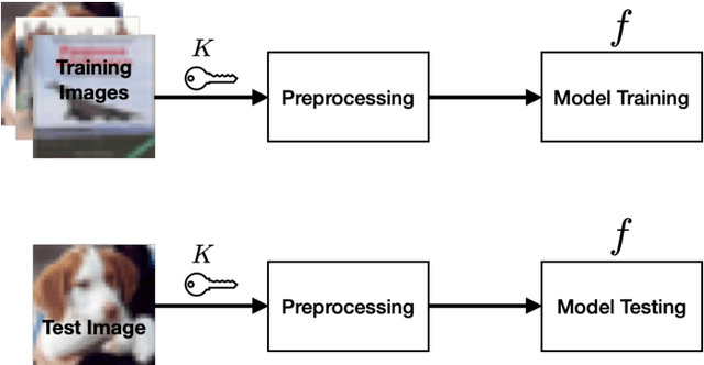 Figure 1 for Training DNN Model with Secret Key for Model Protection