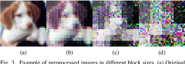 Figure 3 for Training DNN Model with Secret Key for Model Protection