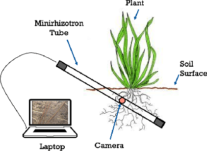Figure 1 for PRMI: A Dataset of Minirhizotron Images for Diverse Plant Root Study