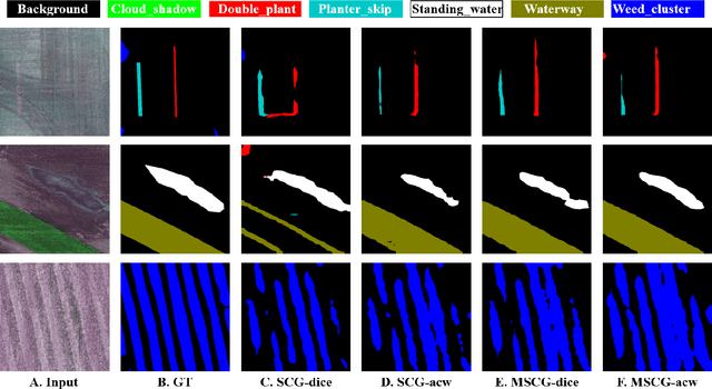 Figure 4 for Multi-view Self-Constructing Graph Convolutional Networks with Adaptive Class Weighting Loss for Semantic Segmentation