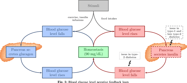 Figure 1 for GLYFE: Review and Benchmark of Personalized Glucose Predictive Models in Type-1 Diabetes