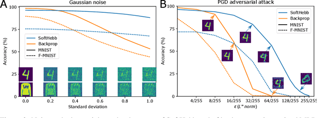 Figure 2 for SoftHebb: Bayesian inference in unsupervised Hebbian soft winner-take-all networks