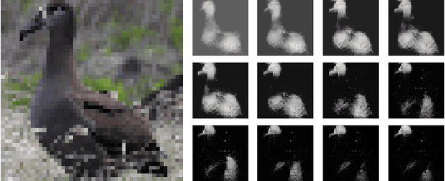 Figure 1 for Learning a Weight Map for Weakly-Supervised Localization