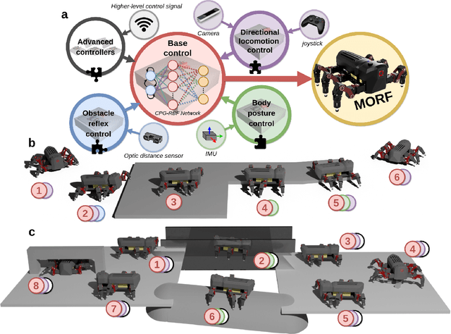 Figure 1 for Versatile modular neural locomotion control with fast learning