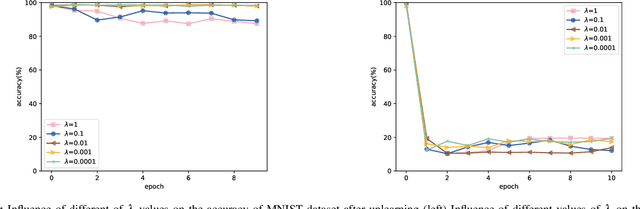 Figure 3 for Lightweight machine unlearning in neural network