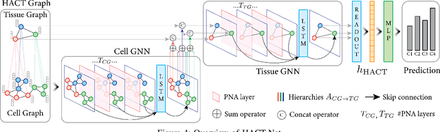 Figure 4 for Hierarchical Graph Representations in Digital Pathology