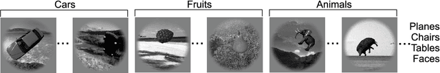 Figure 1 for Deep Neural Networks Rival the Representation of Primate IT Cortex for Core Visual Object Recognition