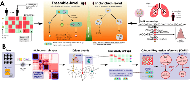 Figure 1 for A Model of Selective Advantage for the Efficient Inference of Cancer Clonal Evolution