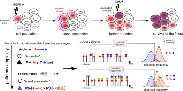 Figure 2 for A Model of Selective Advantage for the Efficient Inference of Cancer Clonal Evolution